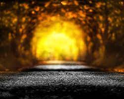 Nur Tr (n23yy.lens) Lens social identity (.lens handle) PFP