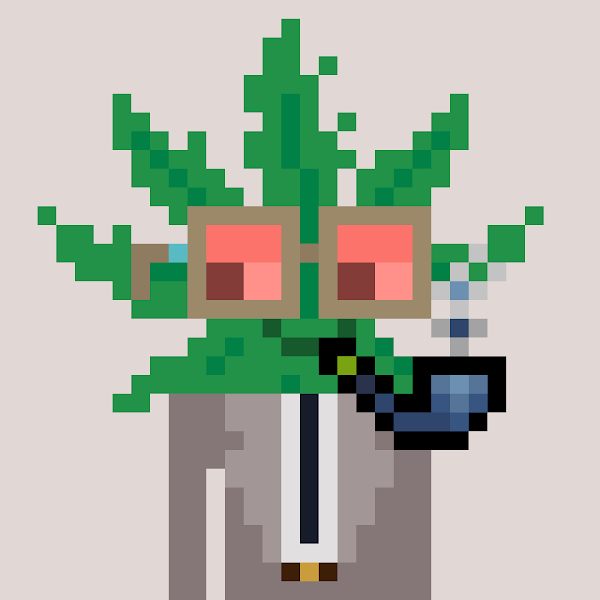 fogaça (fogaca.lens) Lens social identity (.lens handle) PFP