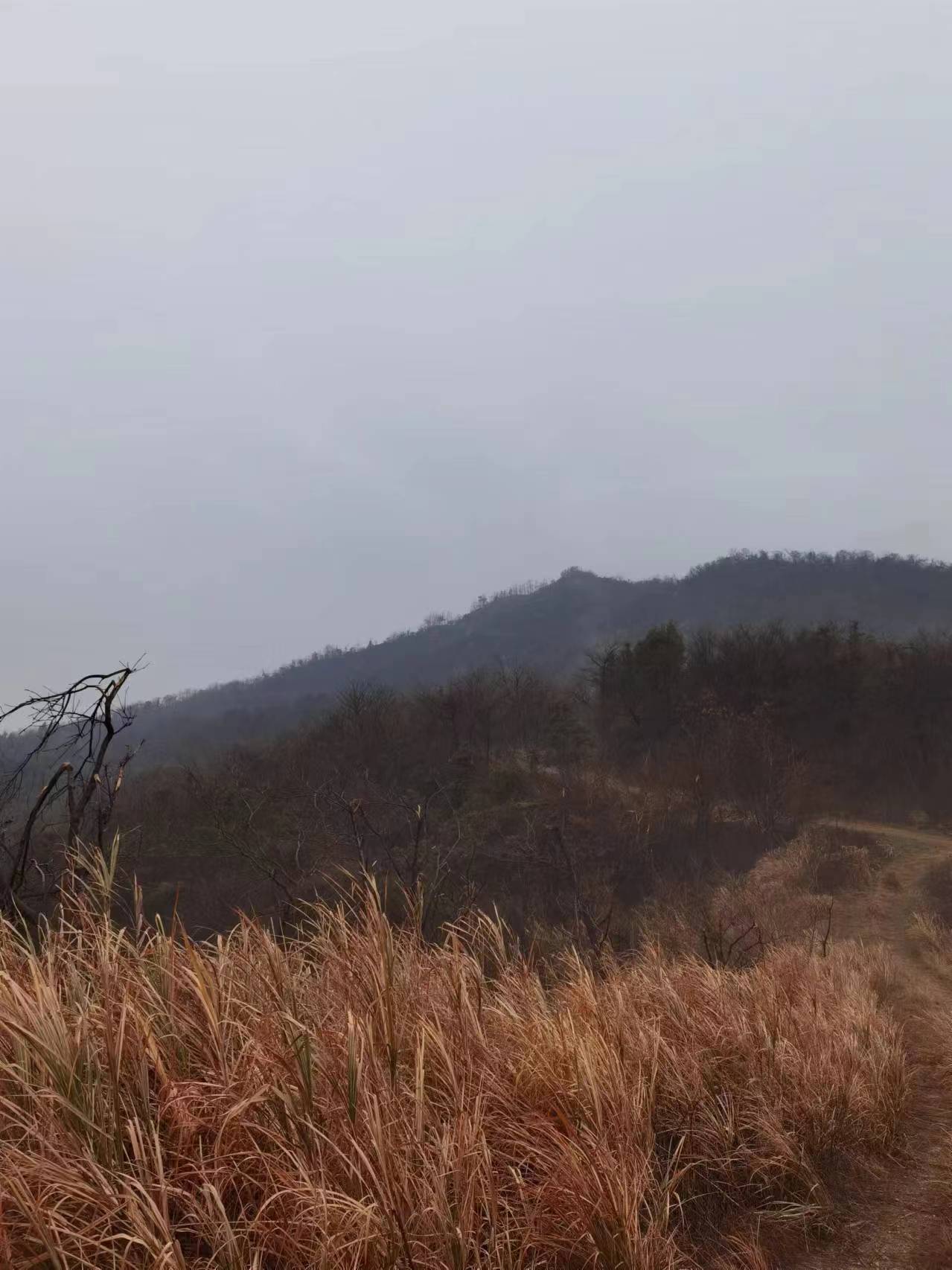 ytube (ytube.lens) Lens social identity (.lens handle) PFP