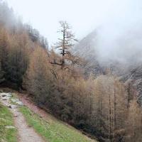 sharehappen (sharehappen.lens) Lens social identity (.lens handle) PFP