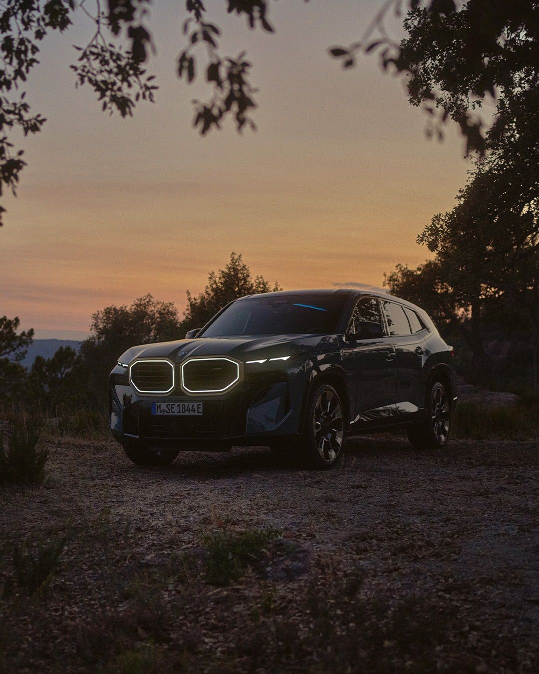 Eleanor (eleanor2003.lens) Lens social identity (.lens handle) PFP