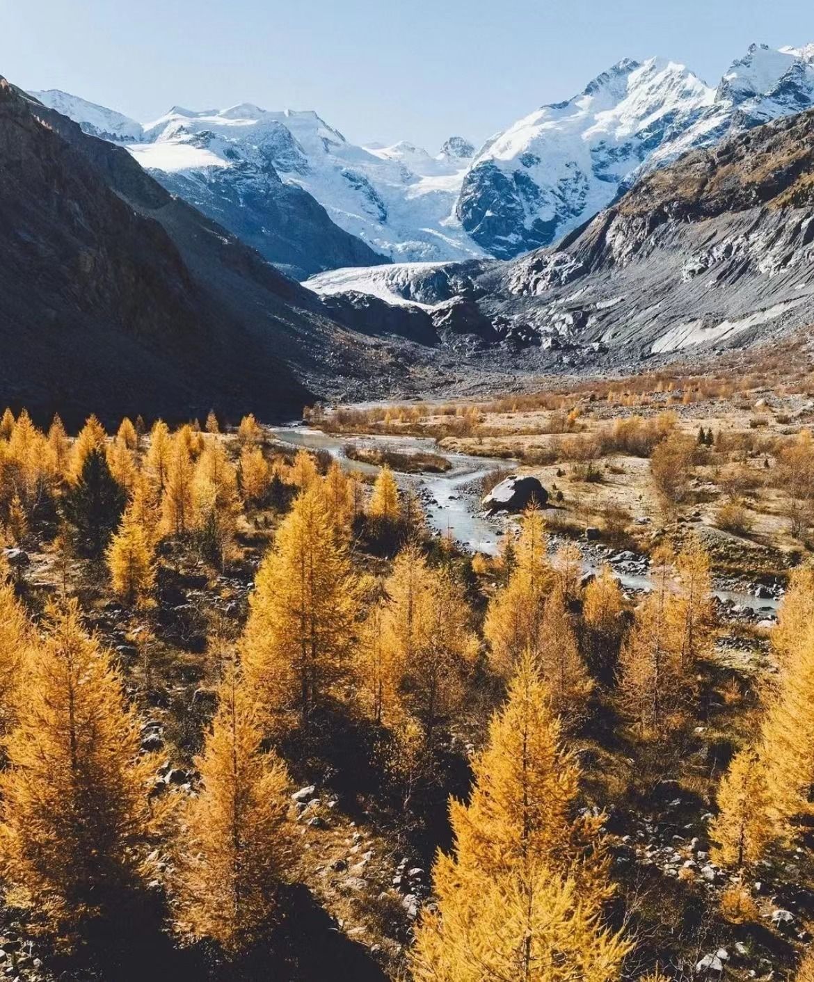 FedQ4SA (fedq4sa.lens) Lens social identity (.lens handle) PFP