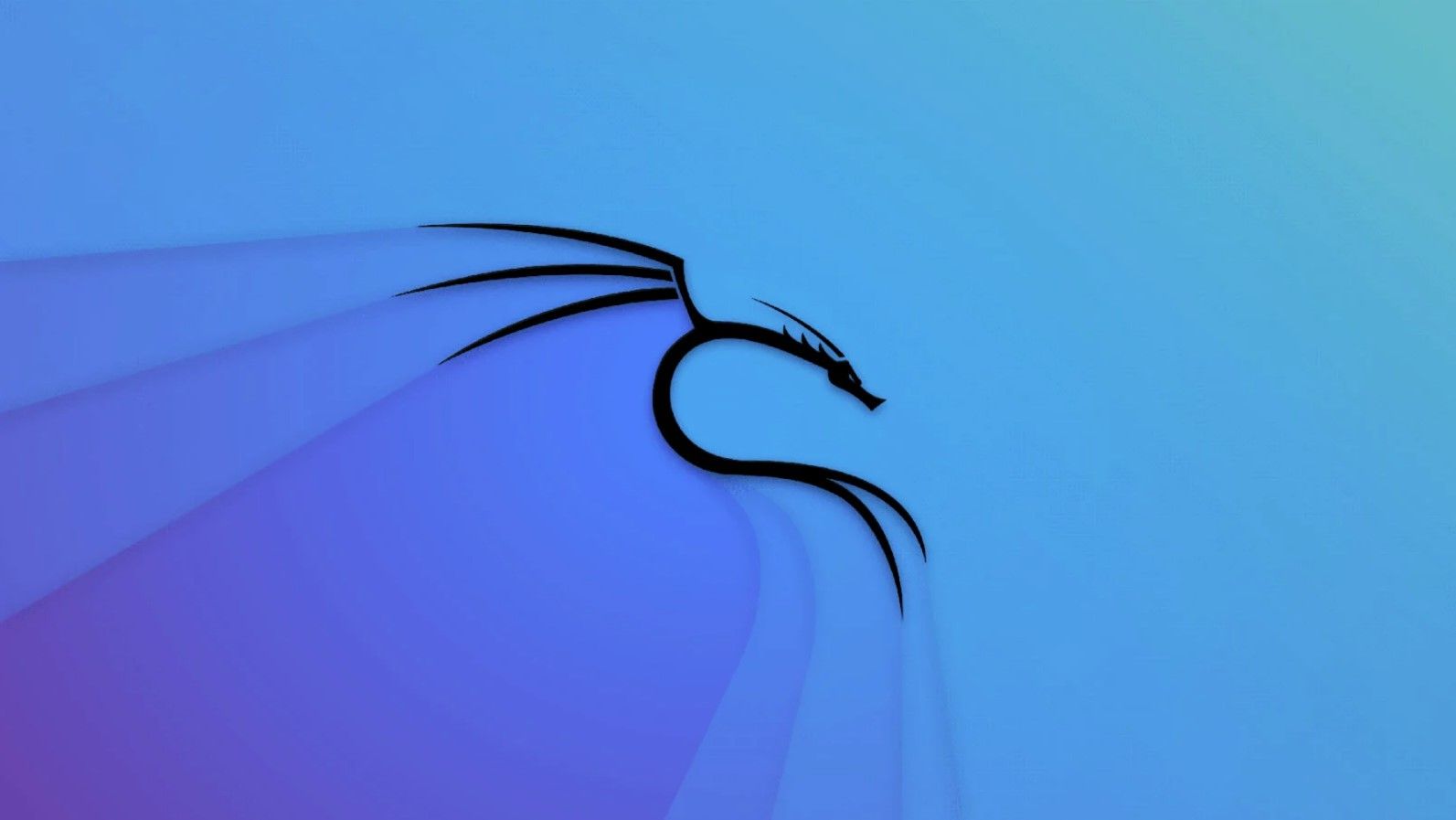 KaliNode's Lens avatar