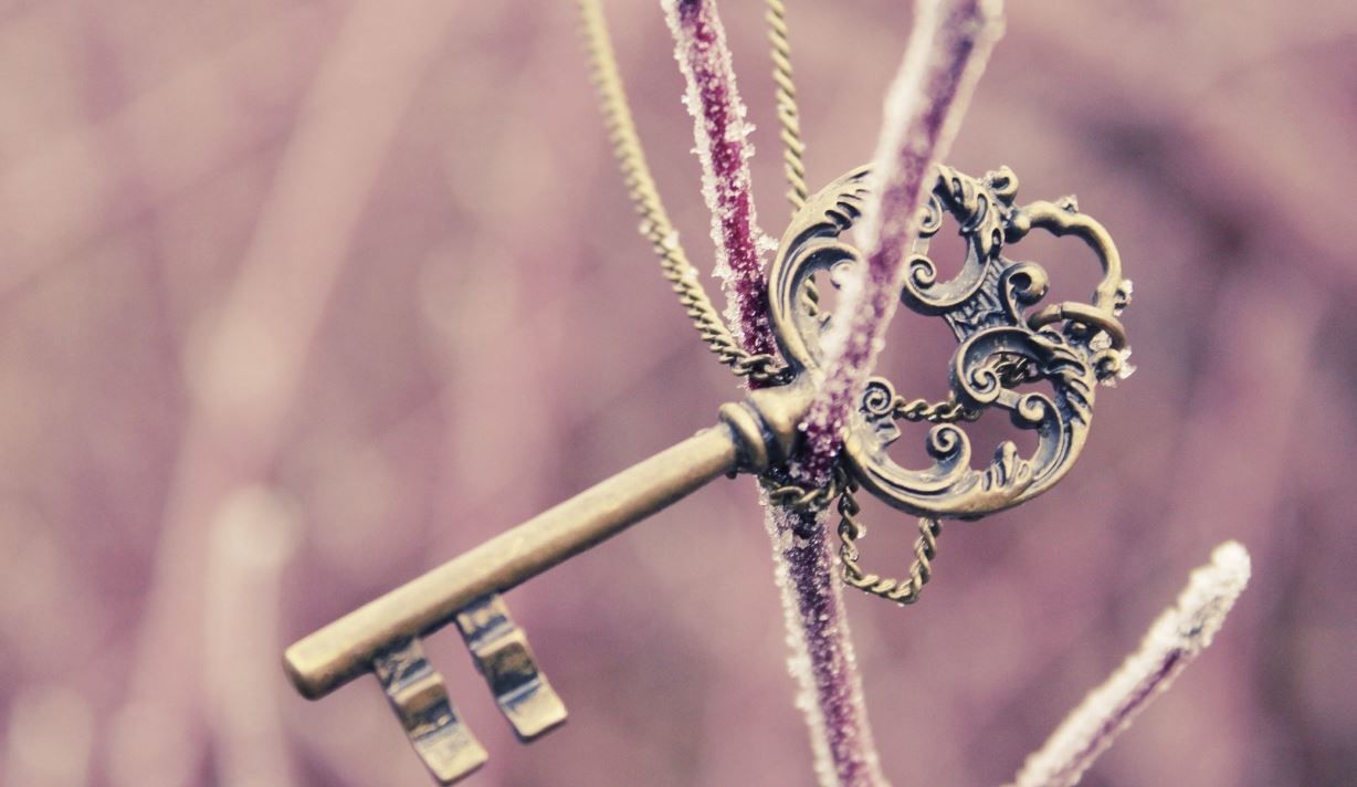 edsawer (edsawer.lens) Lens social identity (.lens handle) PFP