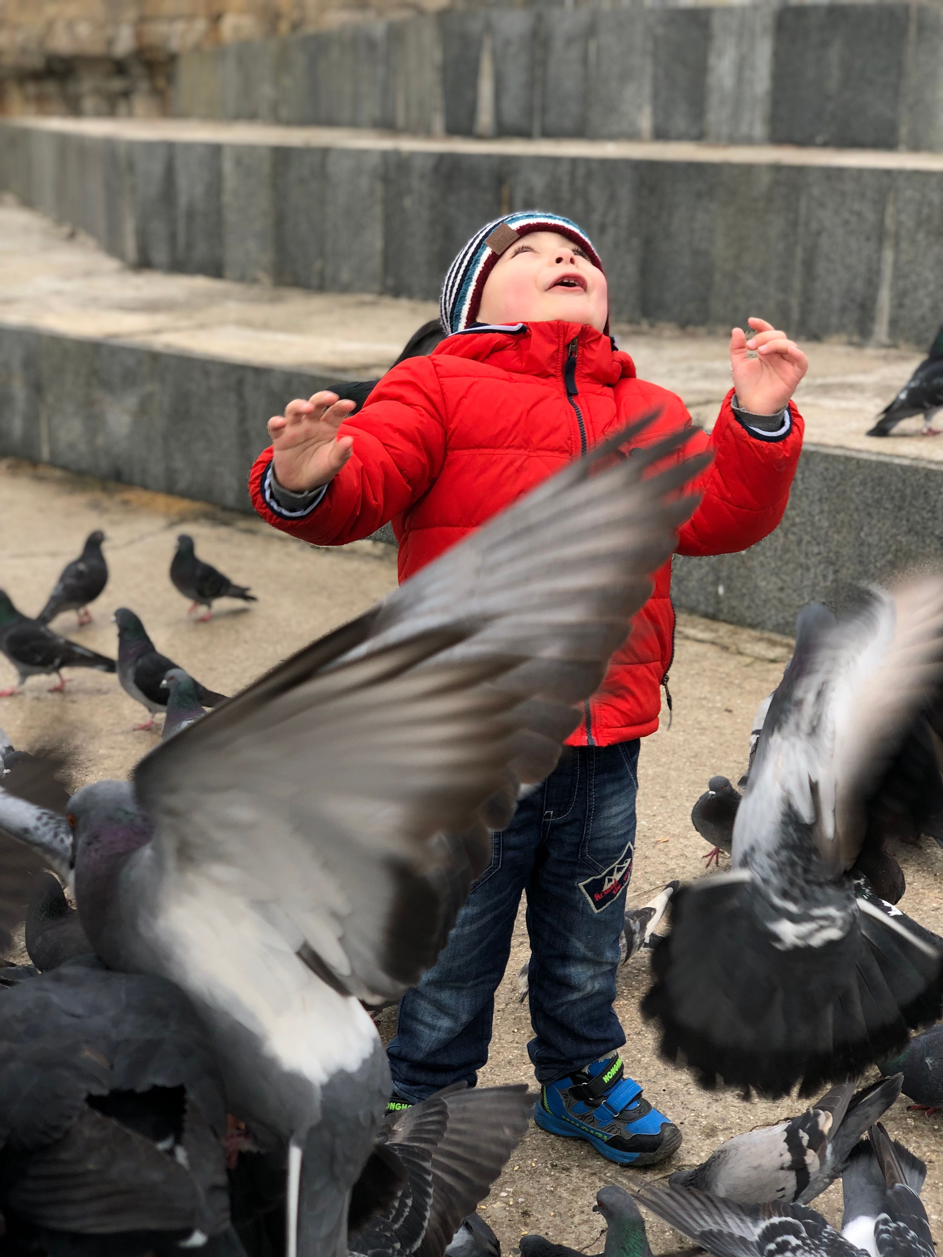 smyrf.linea.eth Linea Name Service (.linea.eth domains) based on ENS PFP