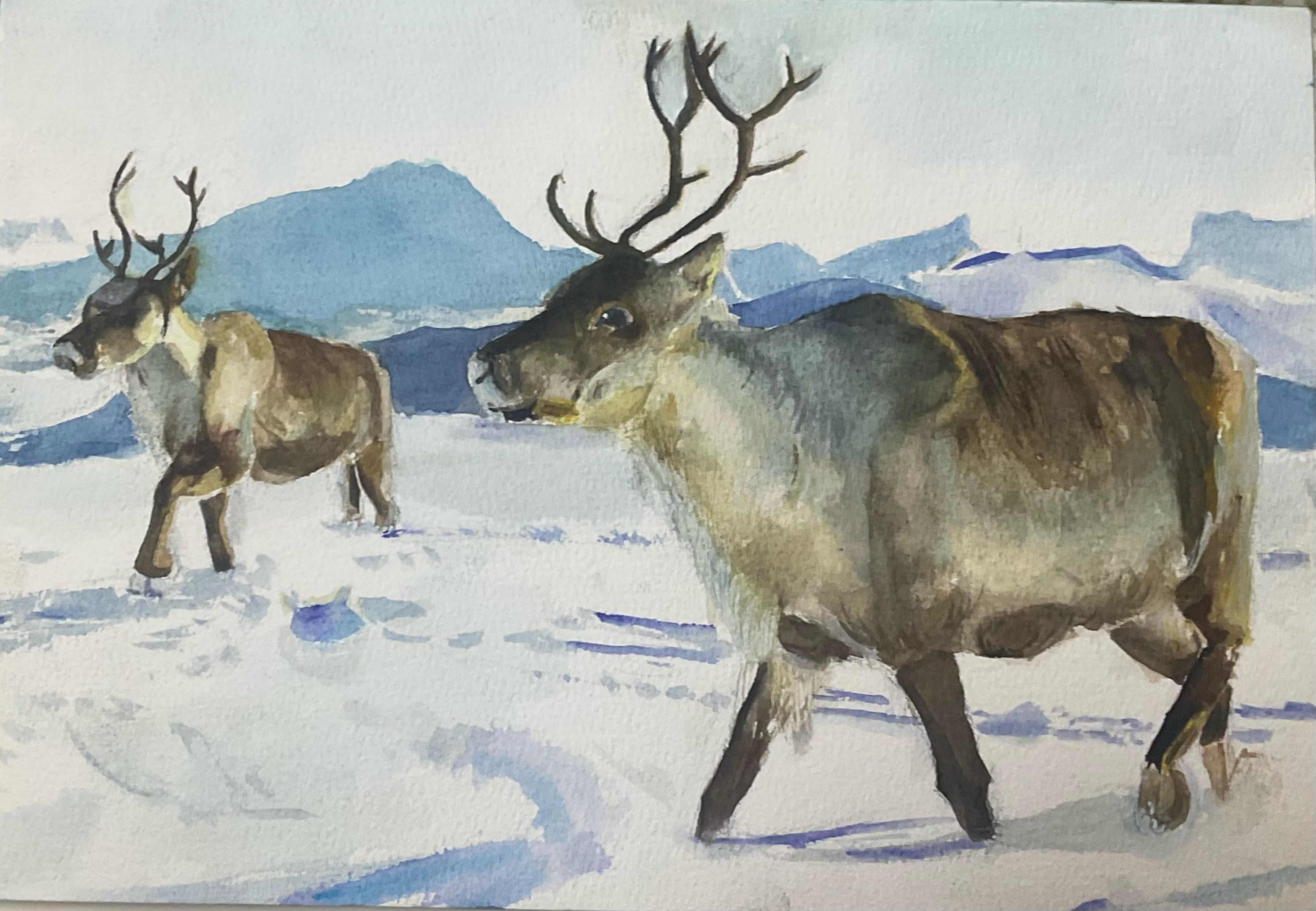 showhand (sfsafsa.lens) Lens social identity (.lens handle) PFP