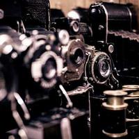 notesee (notesee.lens) Lens social identity (.lens handle) PFP