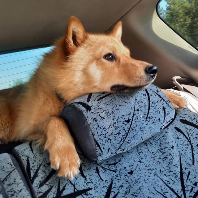 Юрий (ur4ixa.lens) Lens social identity (.lens handle) PFP