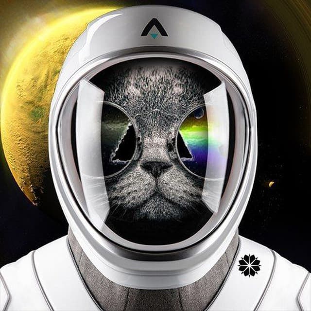 cryptocat (crypt0cat.lens) Lens social identity (.lens handle) PFP