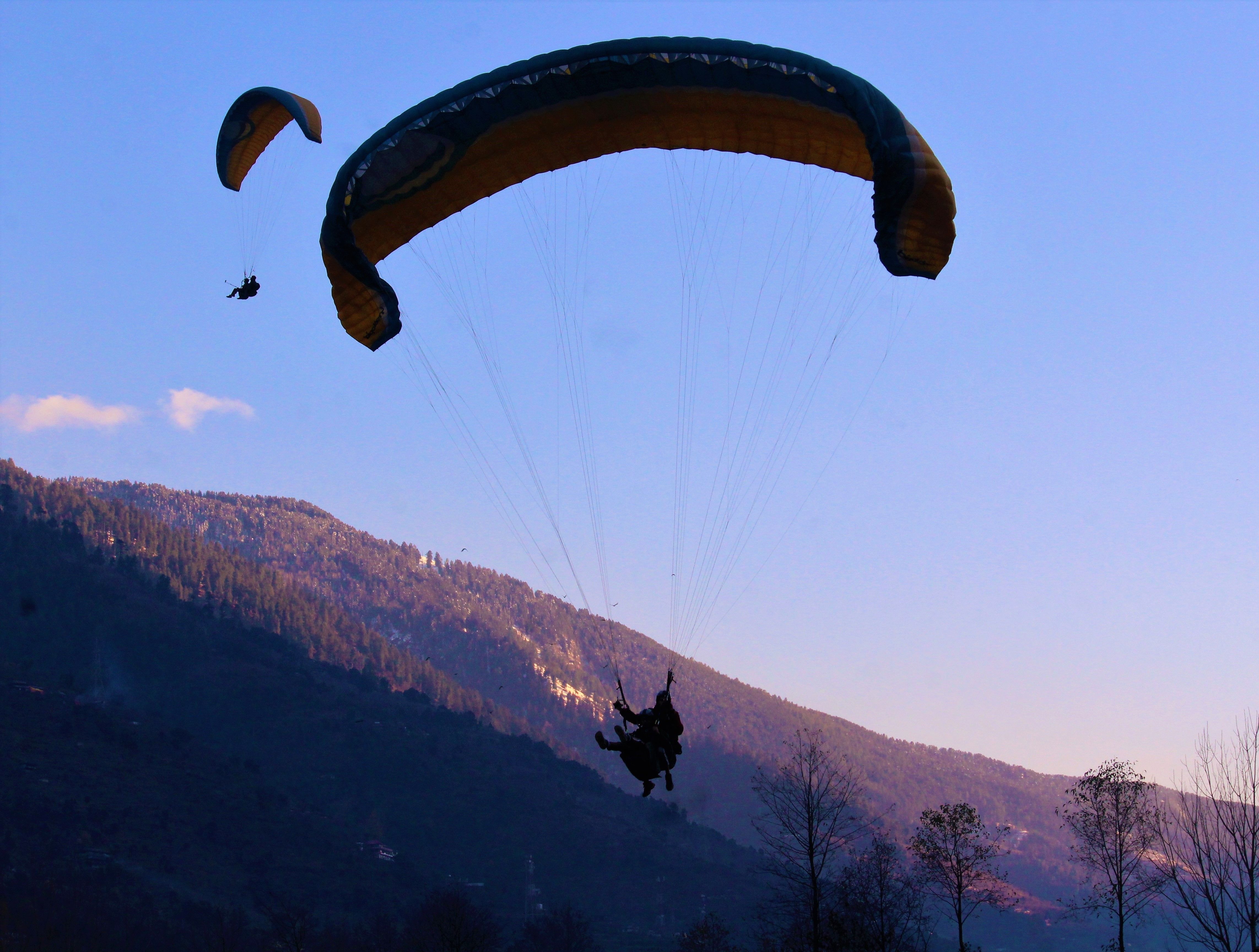 saykam (saykam.lens) Lens social identity (.lens handle) PFP