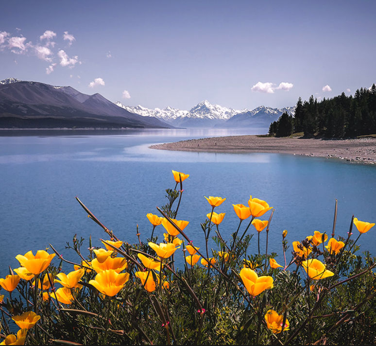 Boris (bibijan.lens) Lens social identity (.lens handle) PFP