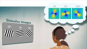 dcfsd (kiki6.lens) Lens social identity (.lens handle) PFP