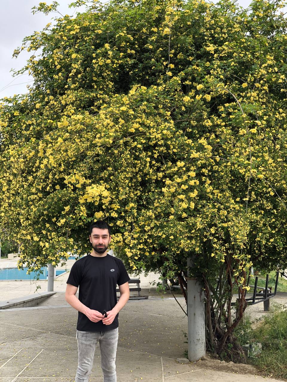 sahand's Lens avatar