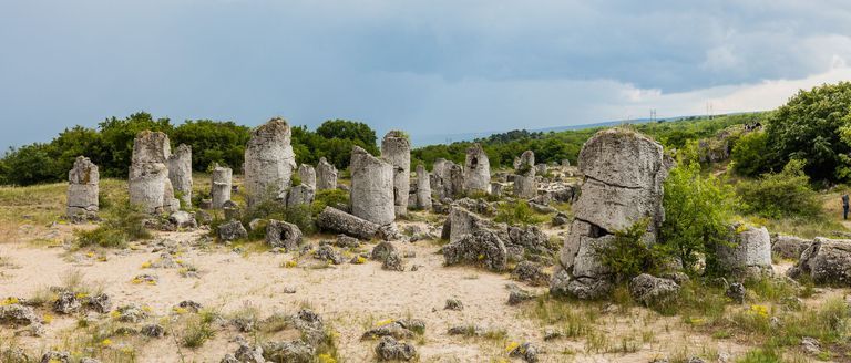 Tamer Çelik (tamercelik.lens) Lens social identity (.lens handle) PFP