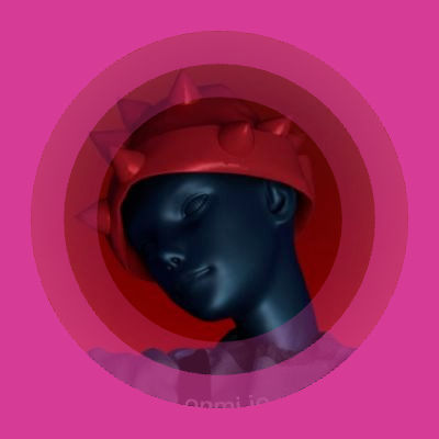 Md Rakibul Hasan (rakibul1364.lens) Lens social identity (.lens handle) PFP