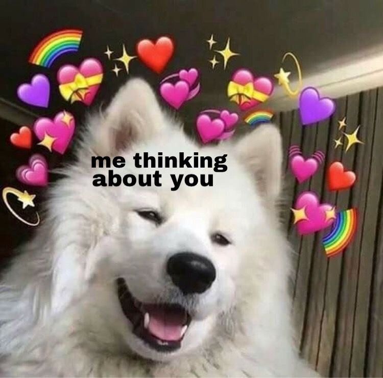 rockchow (rockchow.lens) Lens social identity (.lens handle) PFP