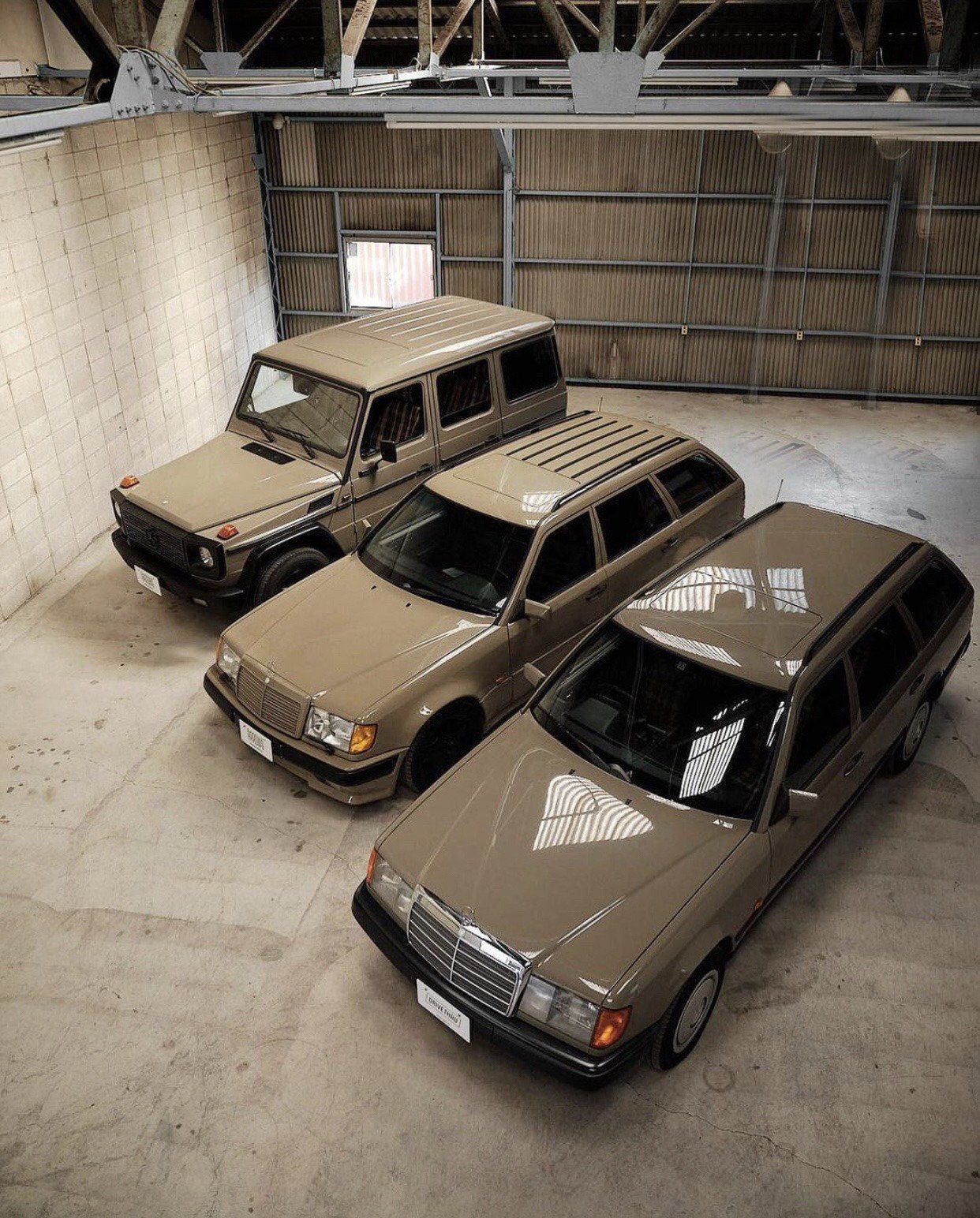 Aeliana (aeliana.lens) Lens social identity (.lens handle) PFP