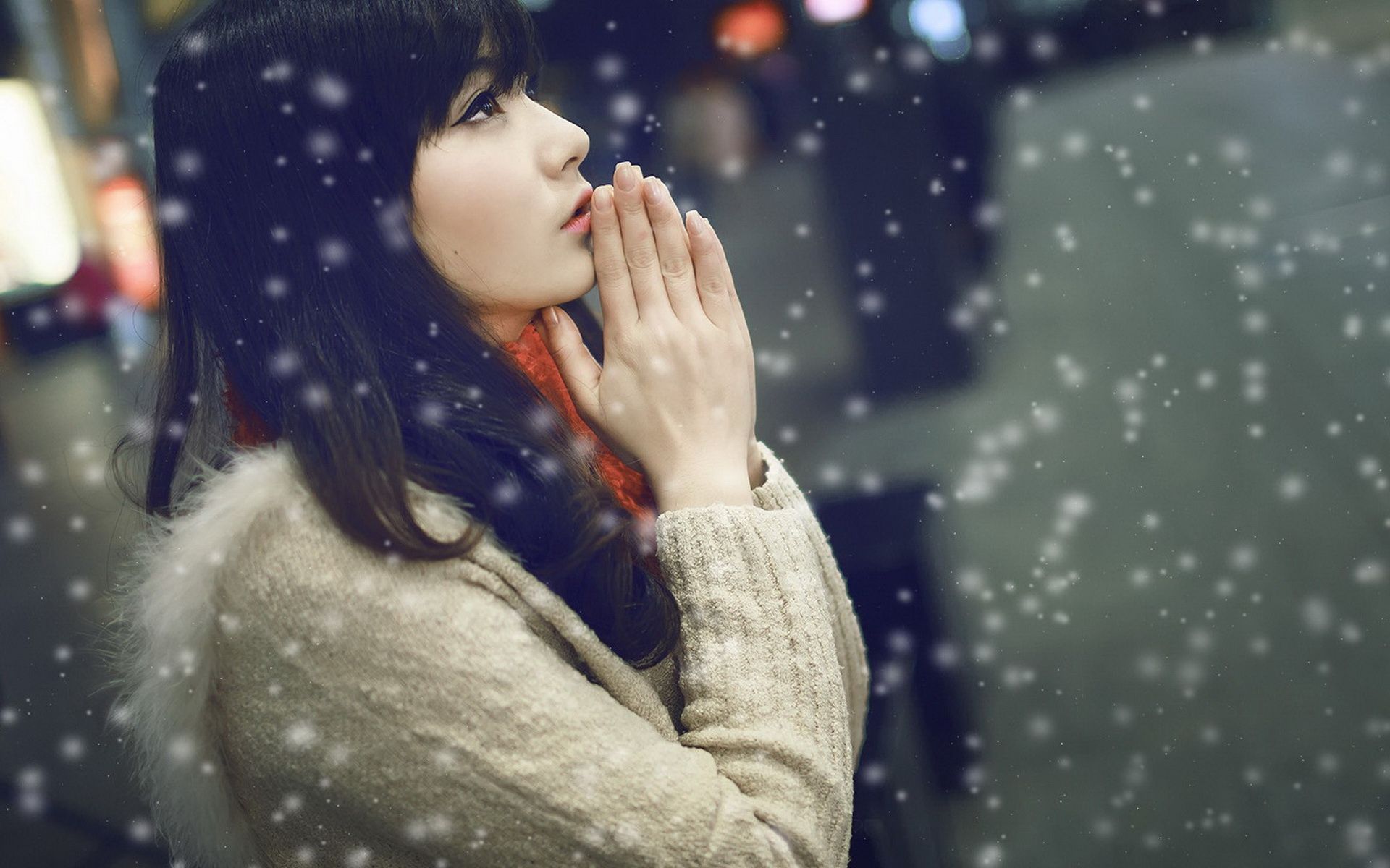 baoanh (baoanh.lens) Lens social identity (.lens handle) PFP