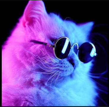 youdjinnbe (youdjinnbe.lens) Lens social identity (.lens handle) PFP