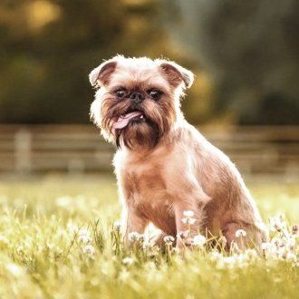 k-7 (notime4losers.lens) Lens social identity (.lens handle) PFP