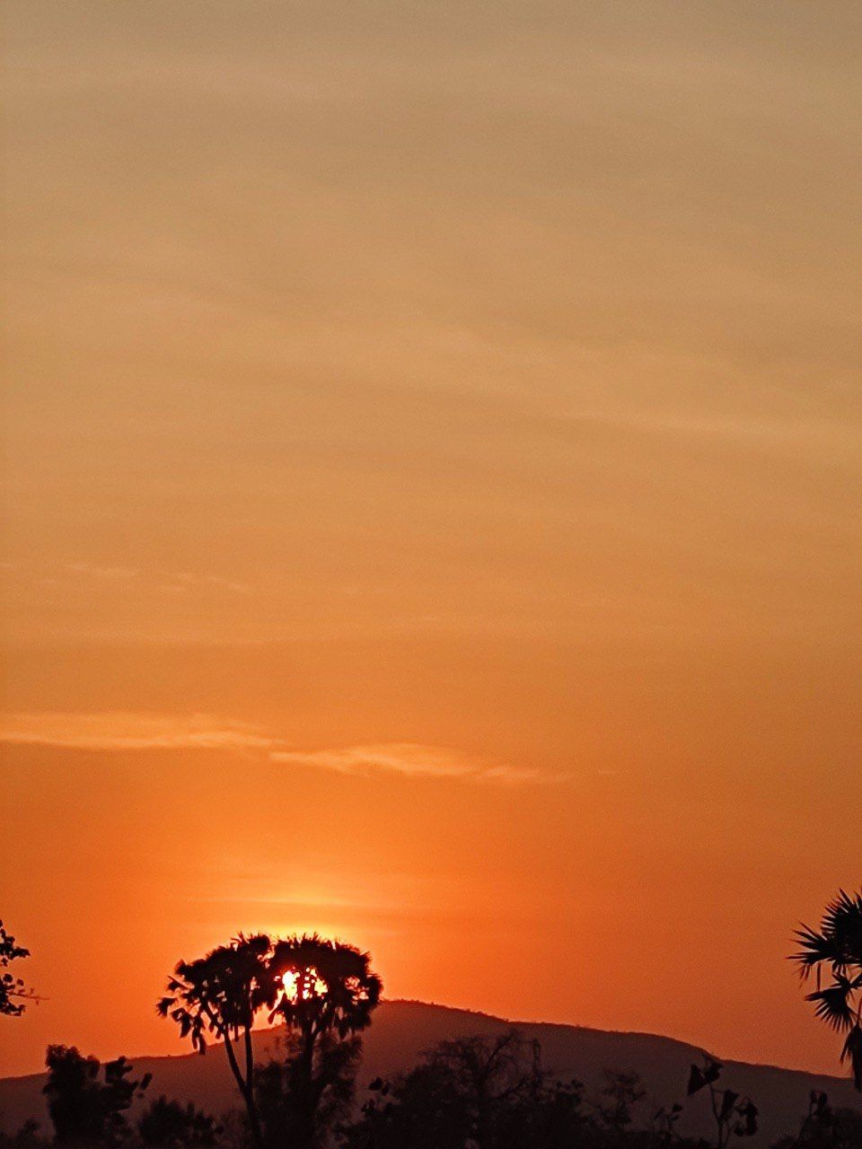 sprinter (sprinter.lens) Lens social identity (.lens handle) PFP