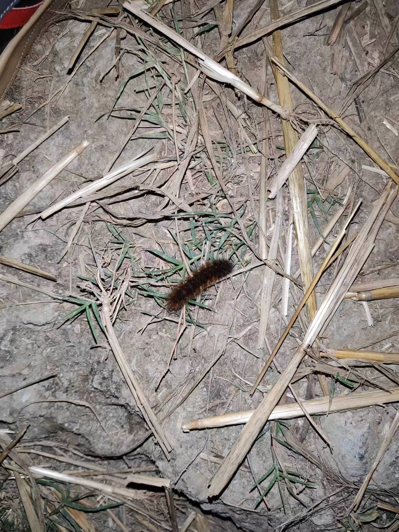 wdswq (qwer0.lens) Lens social identity (.lens handle) PFP