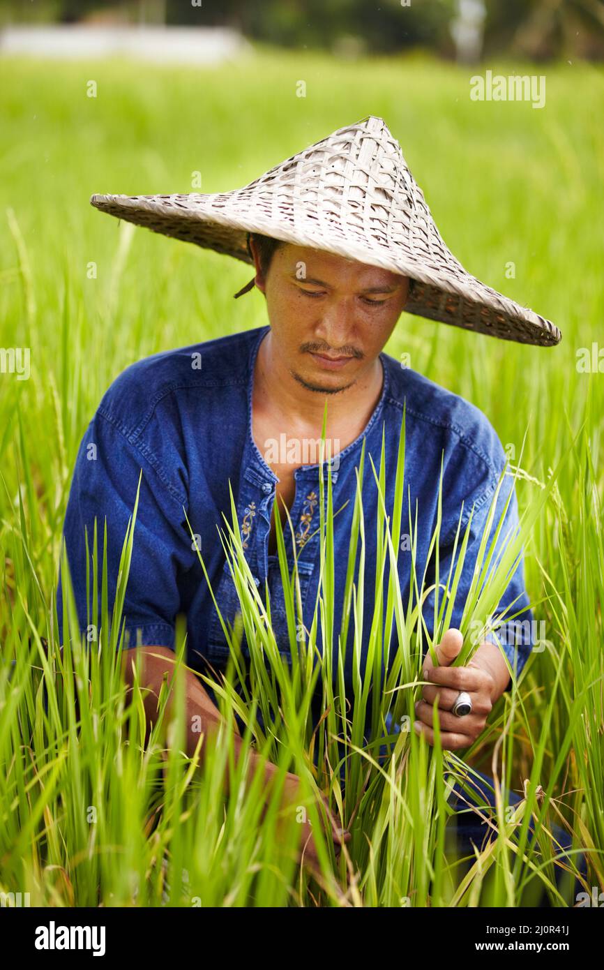 Mooseknuckle (mooseknuckle.lens) Lens social identity (.lens handle) PFP