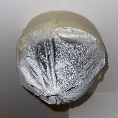 calebguy's Lens avatar
