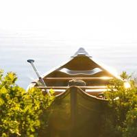 pixeljolt (pixeljolt.lens) Lens social identity (.lens handle) PFP