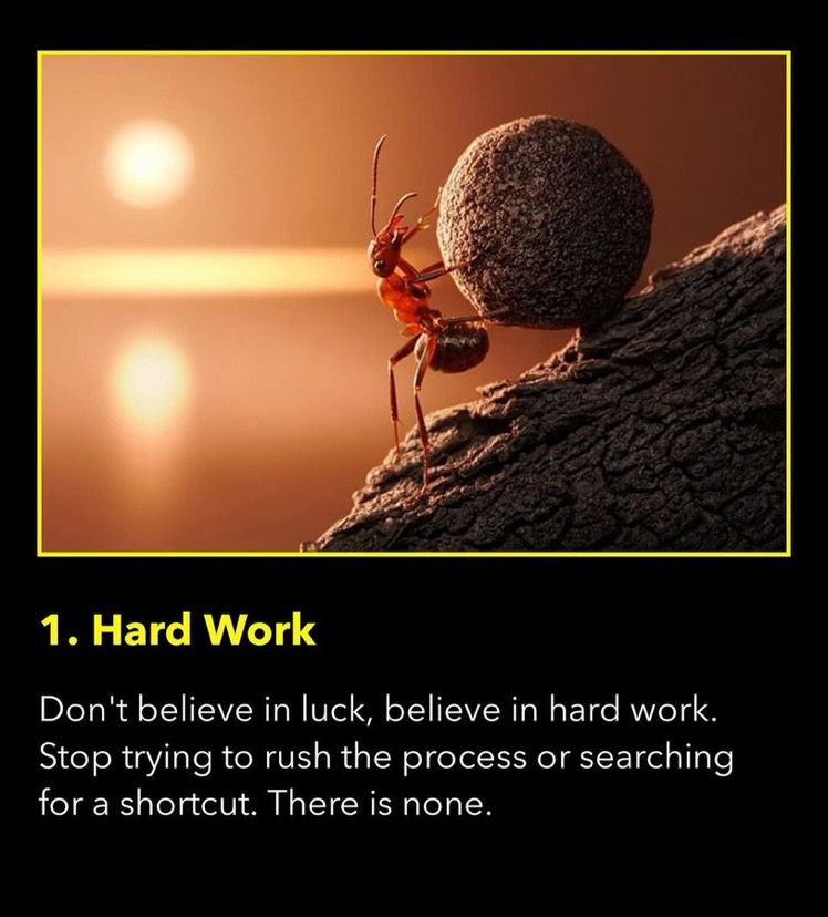 banktech.linea.eth Linea Name Service (.linea.eth domains) based on ENS PFP