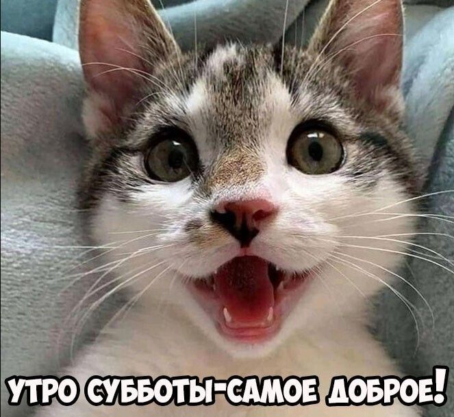 Andrey (cringebot.lens) Lens social identity (.lens handle) PFP
