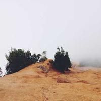 coldroom (coldroom.lens) Lens social identity (.lens handle) PFP