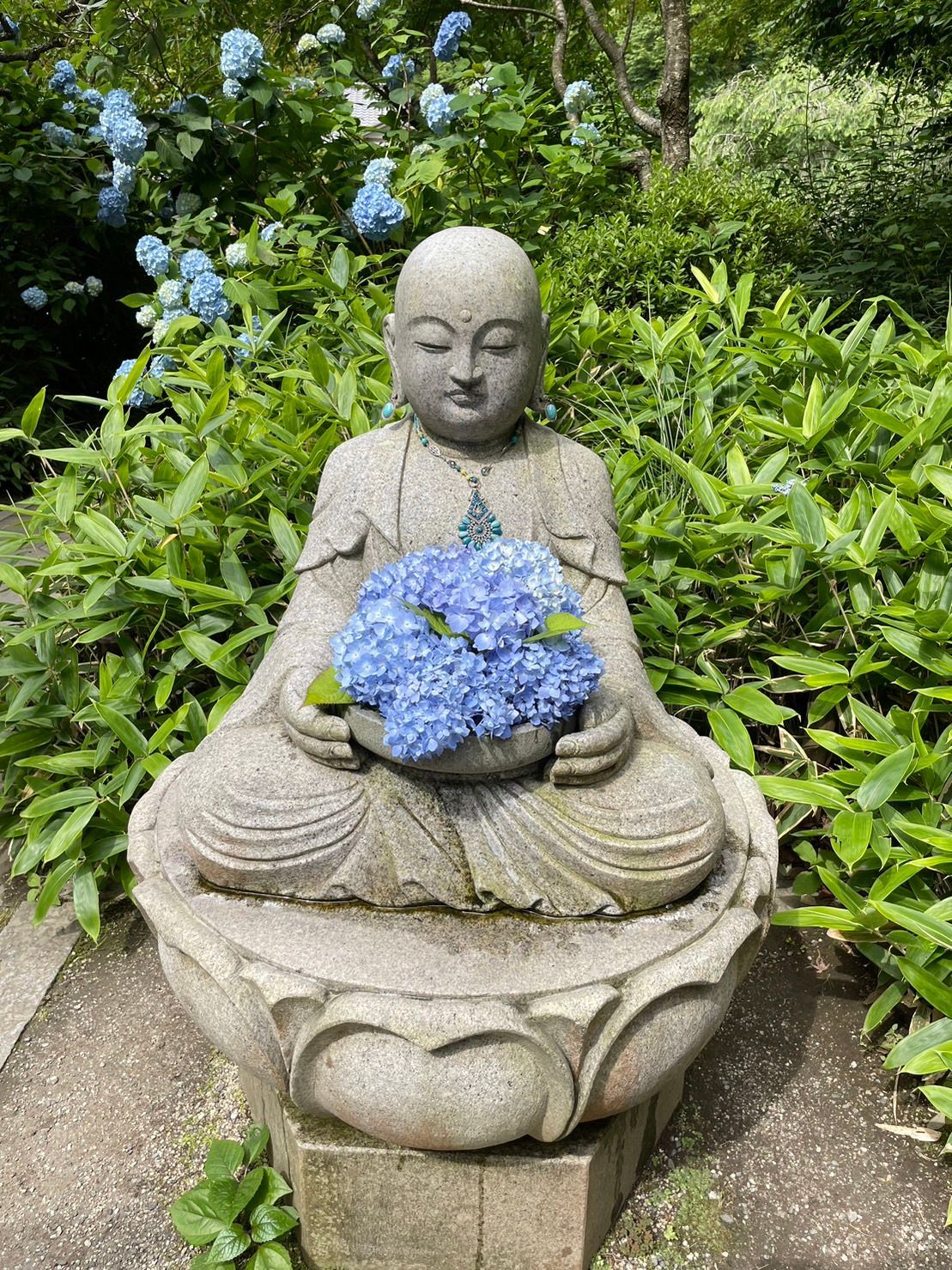 AJISAI-DERA in Kamakura,Japan.