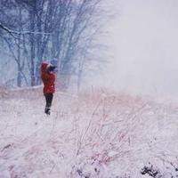 letterlot (letterlot.lens) Lens social identity (.lens handle) PFP