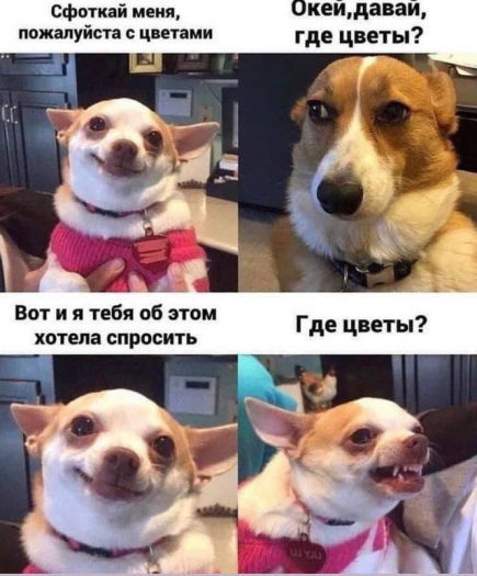 leonelii (leonelii.lens) Lens social identity (.lens handle) PFP