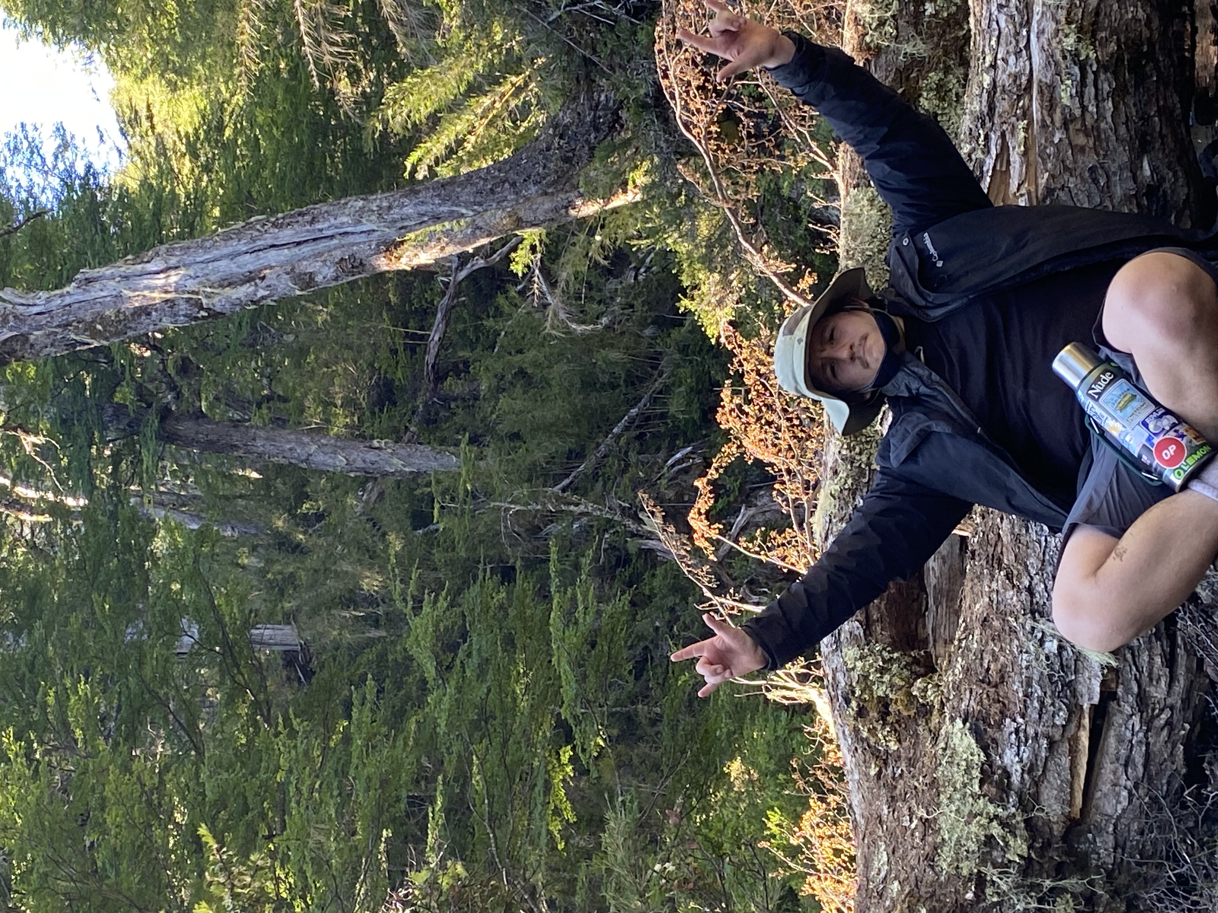 lautaros.lens Lens social identity (.lens handle) PFP