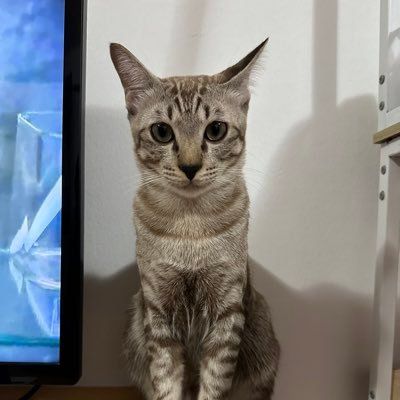 cryptoom's Lens avatar