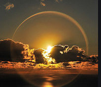 guya (gufkrj.lens) Lens social identity (.lens handle) PFP