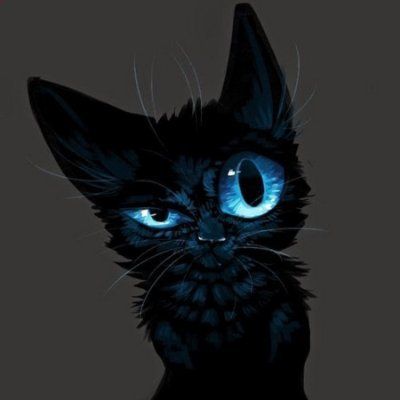 Law's Lens avatar