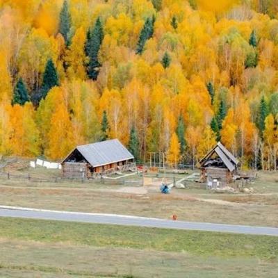 Vito Whyet (vitowhyet.lens) Lens social identity (.lens handle) PFP