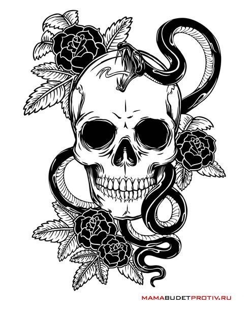 tani7 (tani65.lens) Lens social identity (.lens handle) PFP