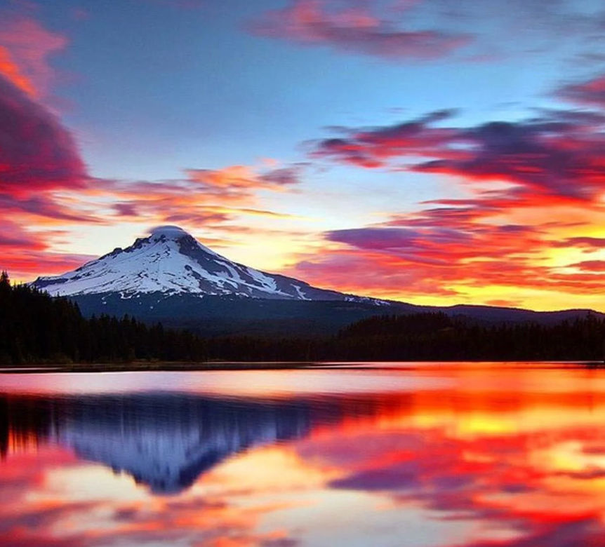 Richard (richardnixon.lens) Lens social identity (.lens handle) PFP