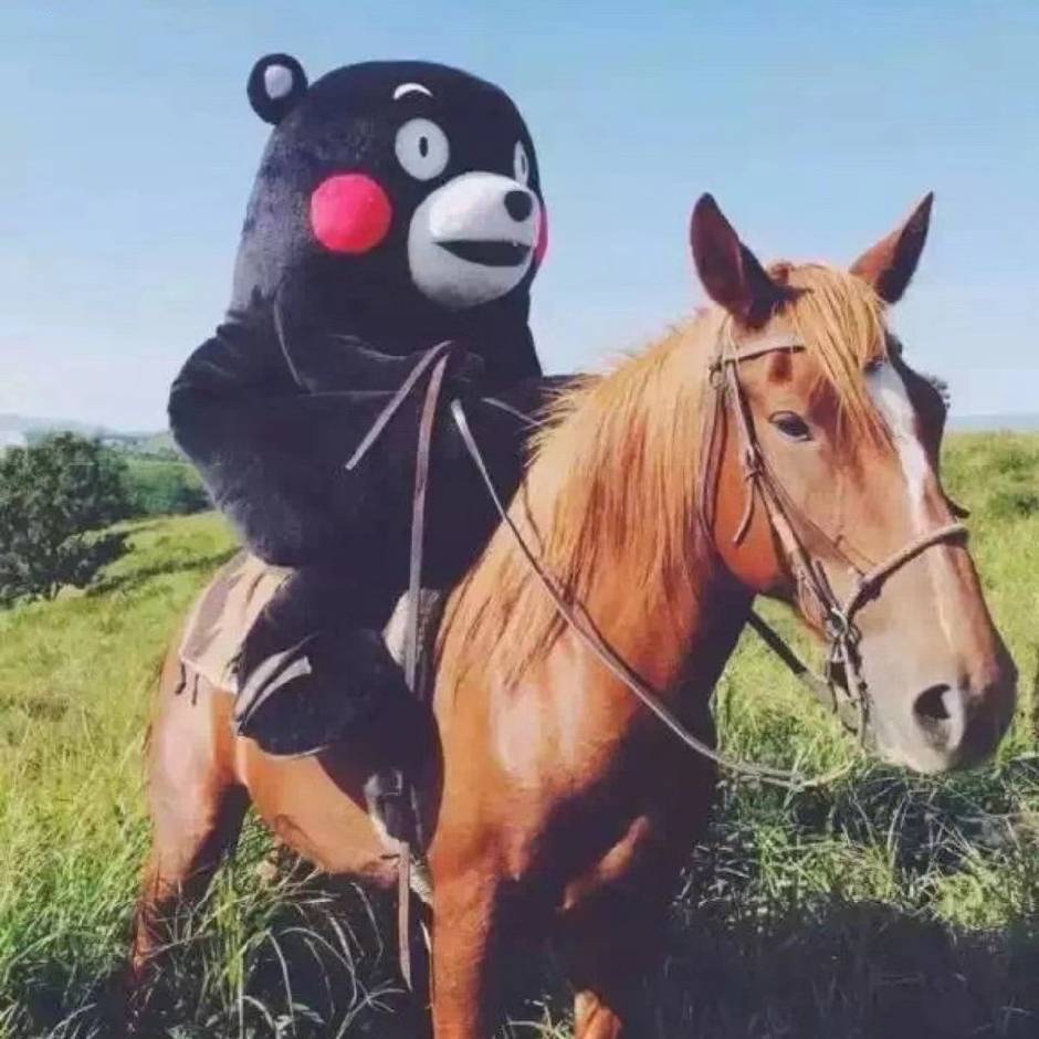 maer (lensl11.lens) Lens social identity (.lens handle) PFP