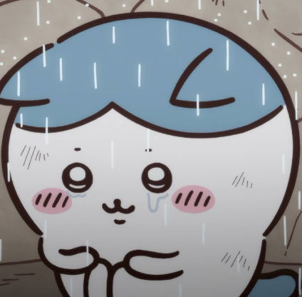 hachi (hachiware8.lens) Lens social identity (.lens handle) PFP