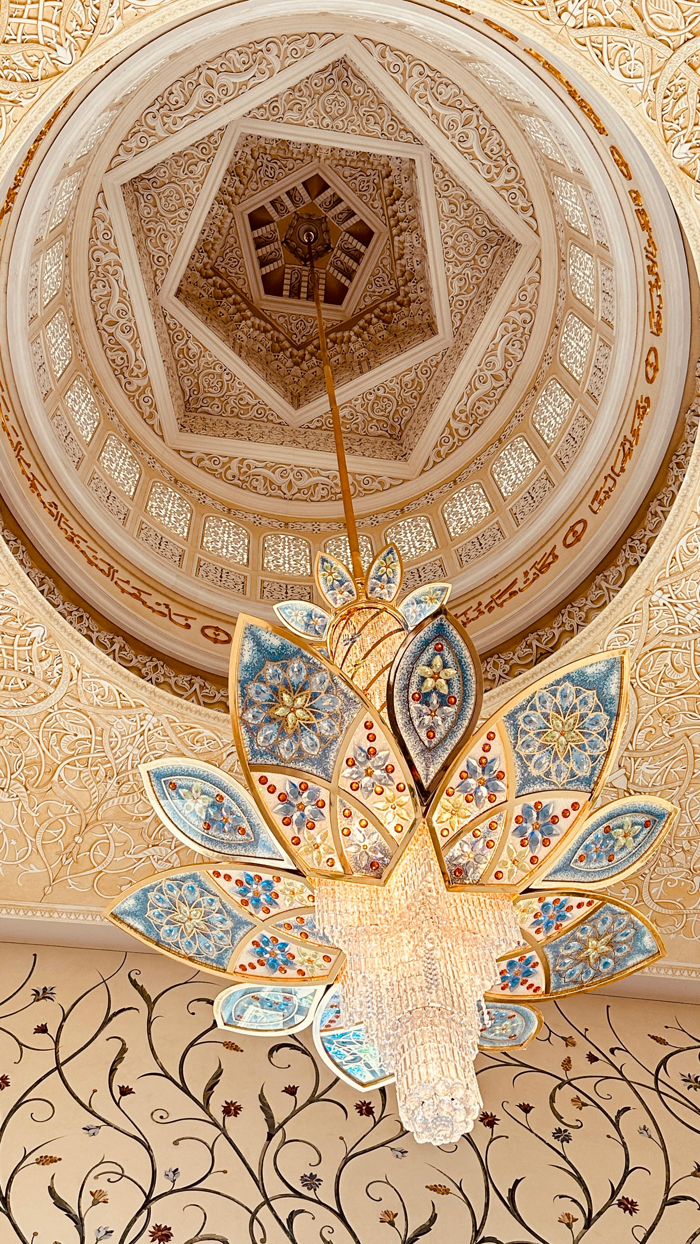 olivia (llkio.lens) Lens social identity (.lens handle) PFP