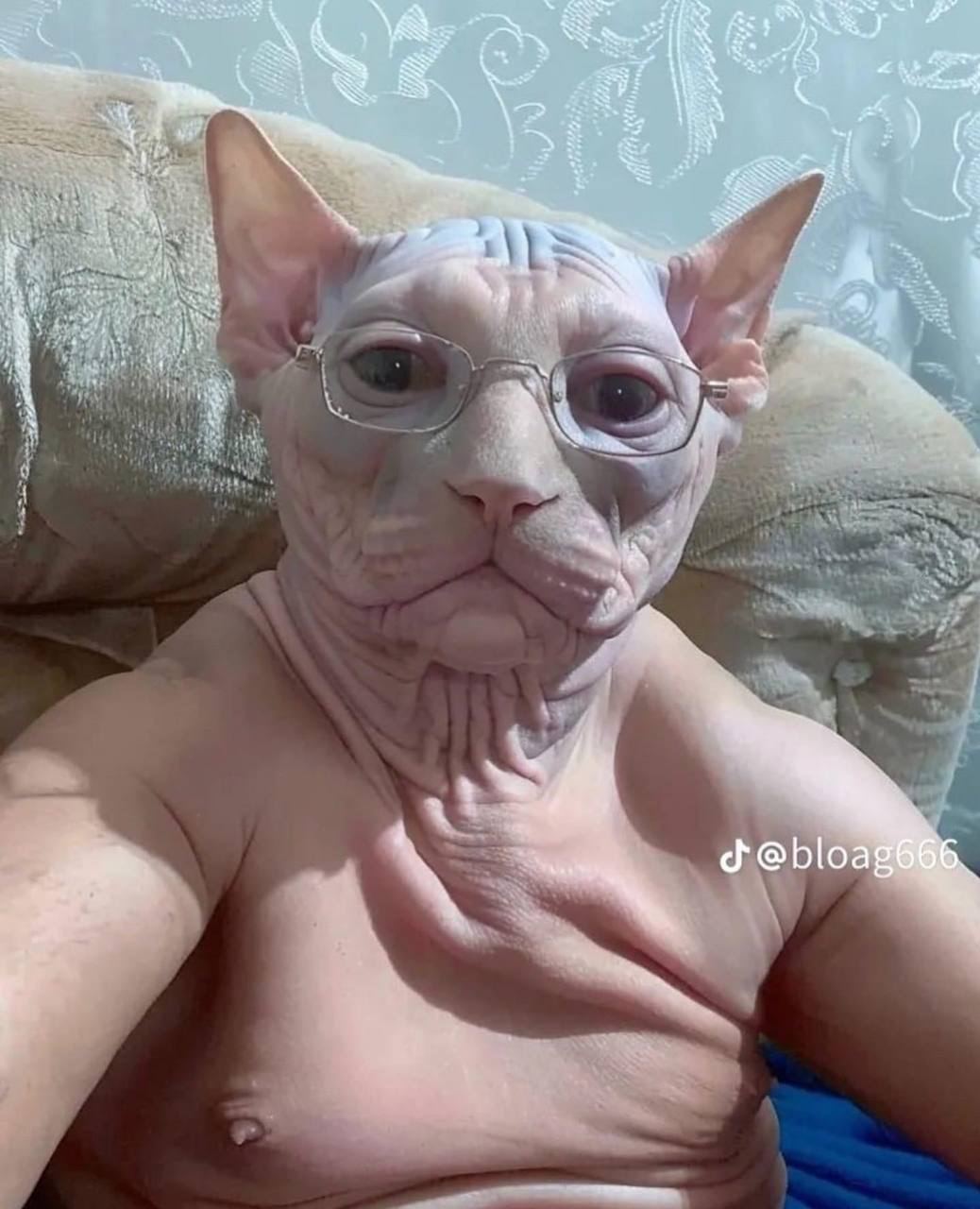 Dmitry Nanosov (bathcannelloni.lens) Lens social identity (.lens handle) PFP