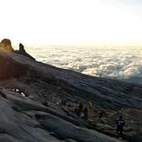 coldfuture (coldfuture.lens) Lens social identity (.lens handle) PFP