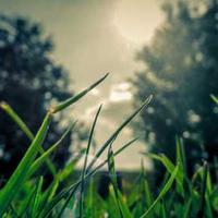 createbillion (createbillion.lens) Lens social identity (.lens handle) PFP