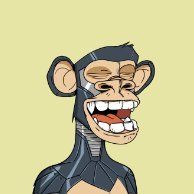 Rang (rangstery.lens) Lens social identity (.lens handle) PFP