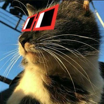 Mart's Lens avatar